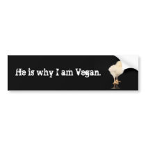 er ist, warum ich vegan bin