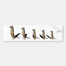 Erdmännchen in Reihe Auto Sticker