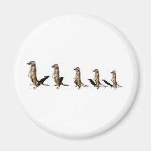 Erdmännchen in Reihe Kühlschrankmagnet