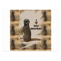 "Erdmännchen" Postkarten