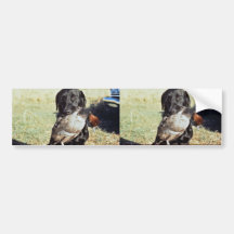 Erfolgreiche Jagd Autosticker