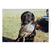 Erfolgreiche Jagd Karte