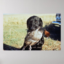 Erfolgreiche Jagd Posterdrucke