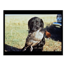 Erfolgreiche Jagd Postkarten