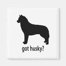 Erhaltener sibirischer Husky Magnete