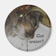Erhaltener Wasser-Magnet Magnets