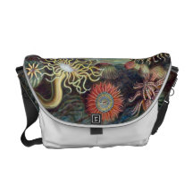 Ernst Haeckel - Actiniae Kurier Tasche