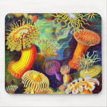 Ernst Haeckels Seeanemonen Mousepads