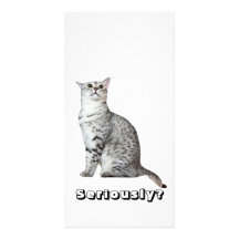 Ernsthaft? Miezekatze Foto Karten Vorlage
