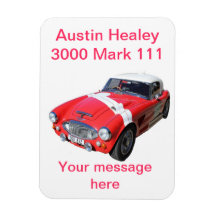 ERSTKLASSIGER MAGNET - Kennzeichen 111 Austin Heal