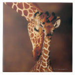 Erwachsene Giraffe mit Kalb (Giraffa camelopardali Keramikkachel