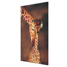 Erwachsene Giraffe mit Kalb (Giraffa camelopardali Gespannte Galeriedrucke