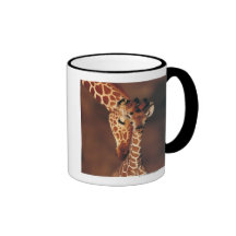 Erwachsene Giraffe mit Kalb (Giraffa camelopardali Teehaferl