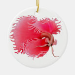 Erweiternde rote Betta Splendens Fisch-Verzierung Ornament