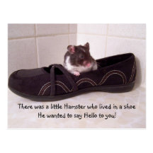 Es gab einen kleinen Hamster…. Postkarte