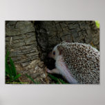 Es heraus überprüfen Plakat