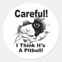 Es ist ein Pitbull Sticker
