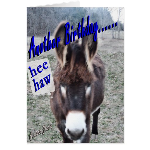 Esel Geburtstagfertigen es besonders an Karte Zazzle
