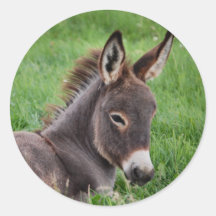 Esel im Gras Sticker