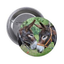 Eselfreunde Button
