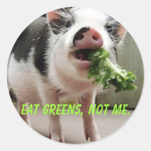 Essen Sie Grüntöne, nicht mich Runde Sticker