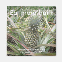 Essen Sie mehr Frucht! Ananas-Magnet Magnete
