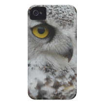 Eule Photograh nahes hohes iPhone 4 Hüllen