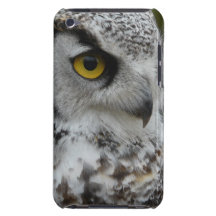 Eule Photograh nahes hohes Barely There iPod Cover