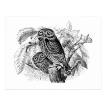 Eulen-Eulen-Baum-Vintager hölzerner Stich Postkarten