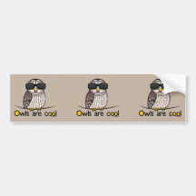 Eulen sind cool autosticker