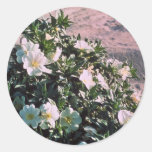 Eureka-Abends-Primel Runde Sticker