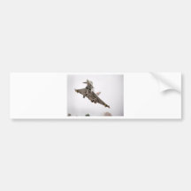 EUROFIGHTER TAIFUN AUTOSTICKER