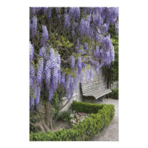 Europa, Österreich, Salzburg Stadt, Salzburg, Kunstphoto