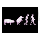Evolution der Schweine Karten