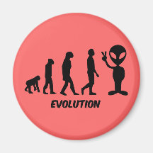 Evolution Magnets