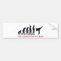evolution martial arts auto sticker