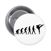Evolution von Karate Anstecknadel