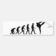 Evolution von Karate Auto Aufkleber