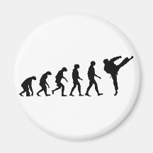 Evolution von Karate Kühlschrankmagnete