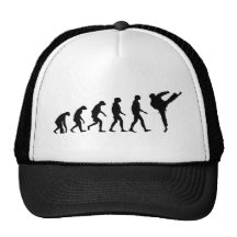Evolution von Karate Netzcap