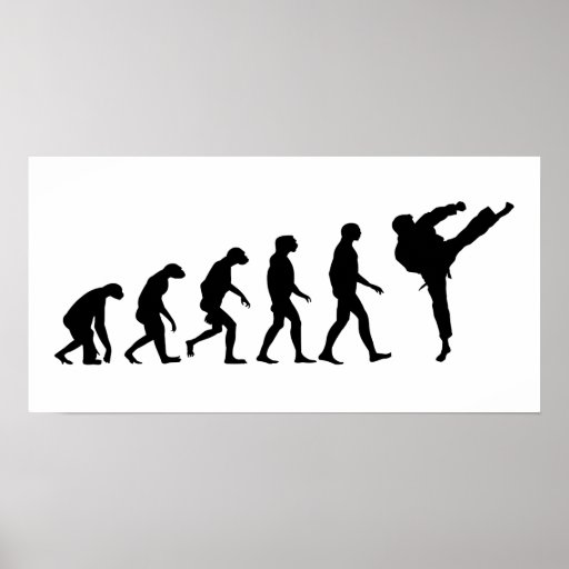 Evolution von Karate Posterdrucke