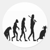 Evoultion Katze "wir glauben" - lustigen Katzen-Li Runde Aufkleber