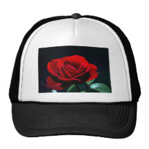 Ewige Liebe Rose Kultmütze