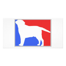 Exklusiver Entwurf Labradors! Photo Karten Vorlage