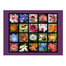 Exotische Blumen um von der Welt Postkarte