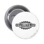 Expelliarus! Button