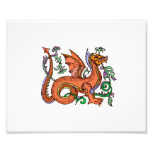 Extravagante Art dragon.png Kunstphotos
