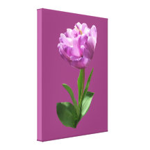 Extravagante rosa Tulpe Gespannte Galeriedrucke