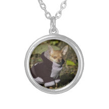Extravaganter Chihuahua Amulett
