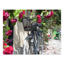 Fahrräder und Rosen in Schweden Ankündigungen